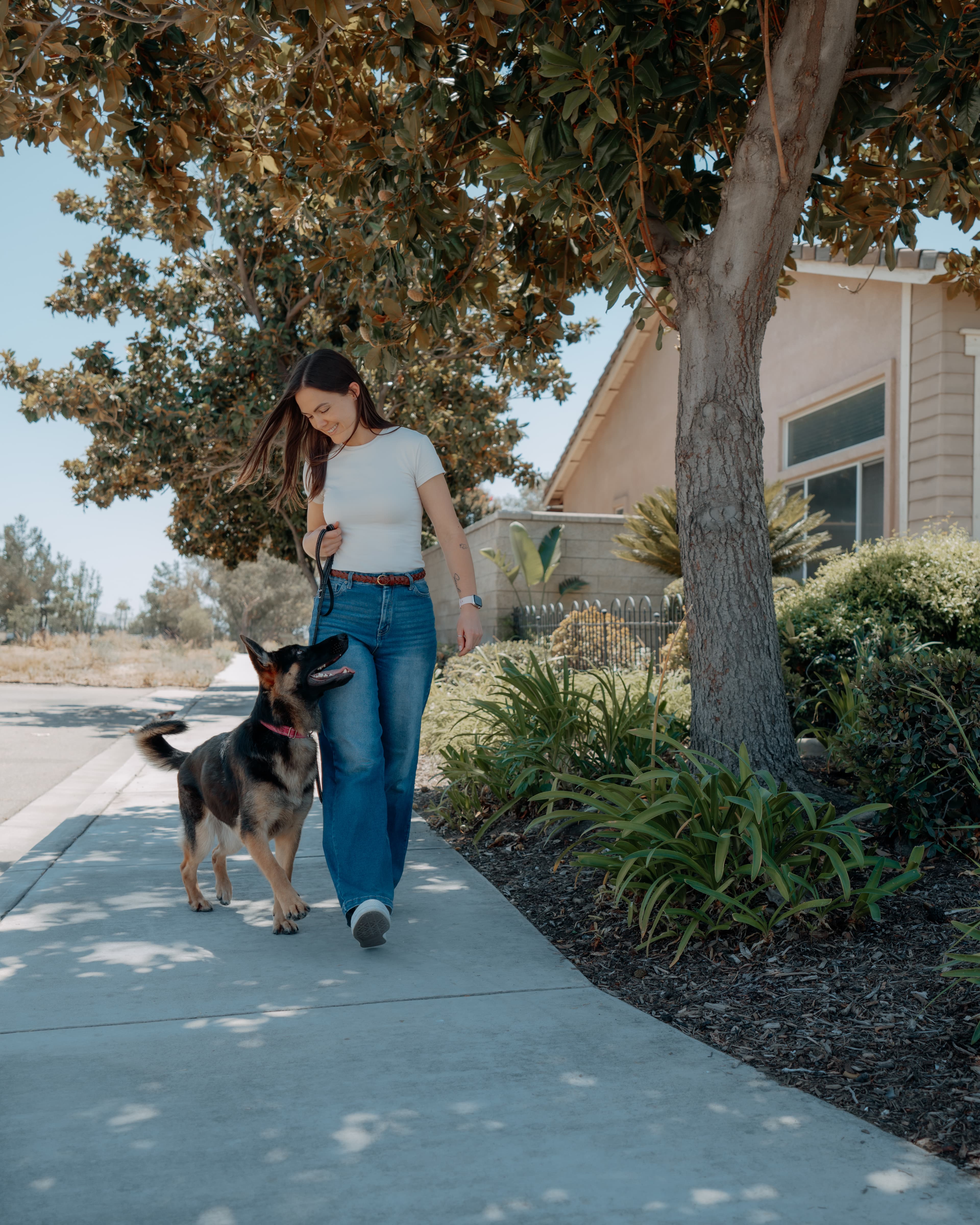 Kendall practicing leash skills with a dog on a neighborhood walk