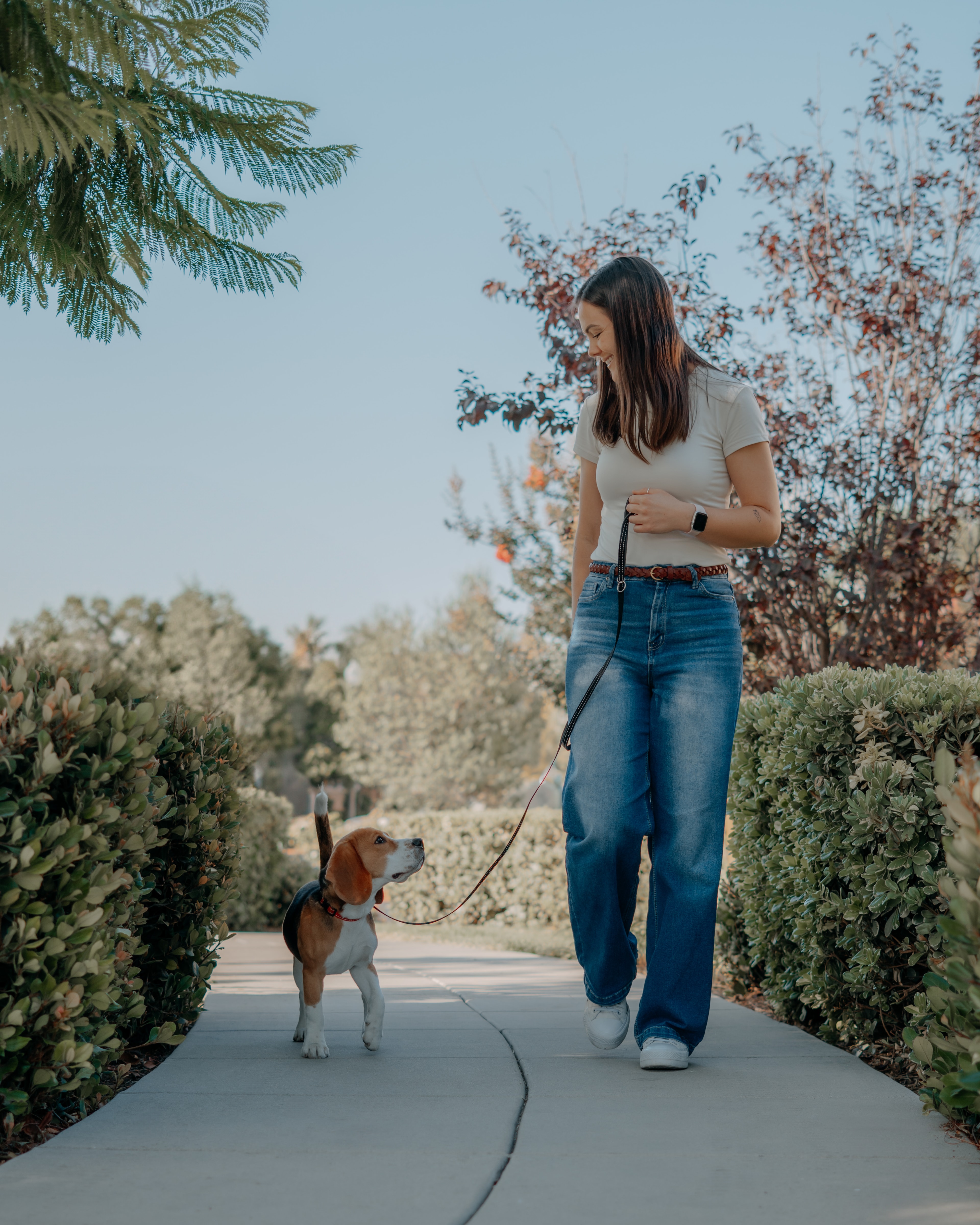 Kendall walking a dog during an outdoor training session